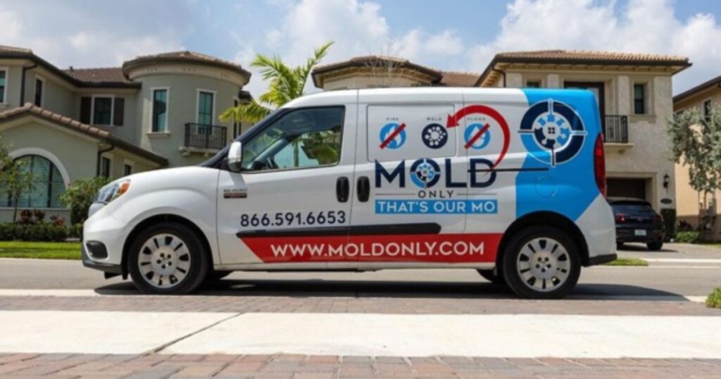 Professional Mold Remediation